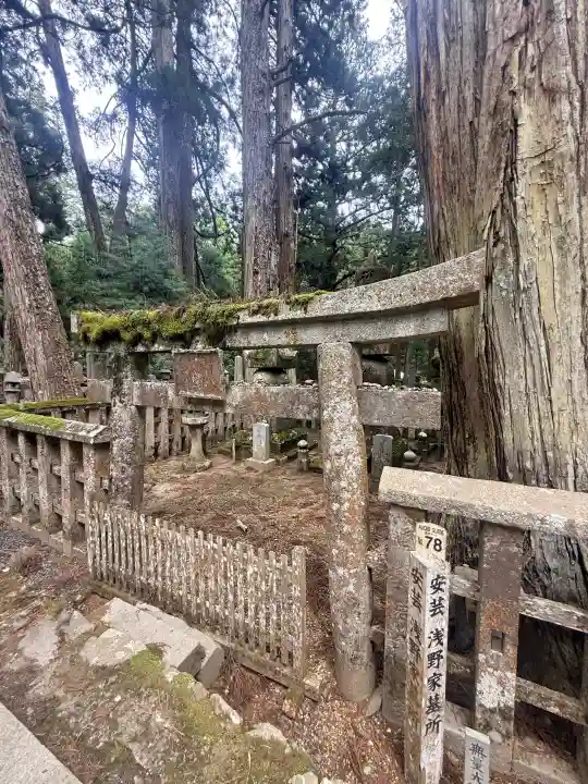 高野山金剛峯寺奥の院の{uncategorized: "未分類", other: "その他", undefined: "問題あり", building: "その他建物", grave: "お墓", sacred_gate: "鳥居", guardian: "狛犬", statue: "像", buddha: "仏像", history: "歴史", nature: "自然", garden: "庭園", animal: "動物", pagoda: "塔", temizu: "手水舎", mountain_gate: "山門・神門", sanctuary: "本殿・本堂", subordinate: "末社・摂社", art: "芸術", scenery: "景色", jizo: "地蔵", ema: "絵馬", goshuin: "御朱印", omikuji: "おみくじ", items: "授与品その他", amulet: "お守り", goshuincho: "御朱印帳", eats: "食事", festival: "お祭り", votive_dance: "神楽", shichigosan: "七五三参", wedding: "結婚式", experience: "体験その他", initially: "初詣", around: "周辺", anti_infection: "感染症対策"}