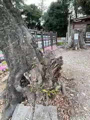 上宮天満宮(大阪府)