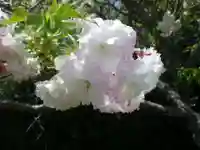 大田八幡宮(山口県)