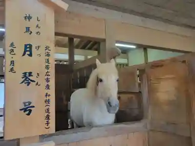 金刀比羅宮(香川県)