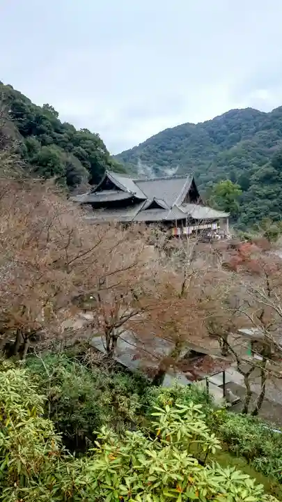 長谷寺(奈良県)