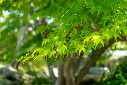 吉備津彦神社(岡山県)