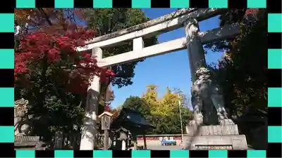 秩父神社(埼玉県)