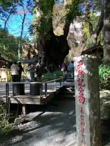來宮神社(静岡県)