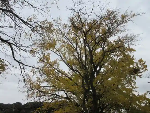 長勝寺(神奈川県)