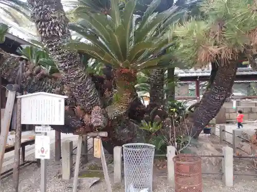御香宮神社(京都府)