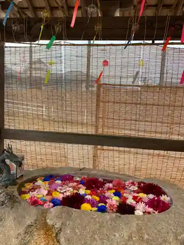 金井神社の手水舎