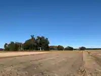 武射神社(千葉県)