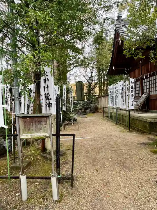 白金龍王社(愛知県)