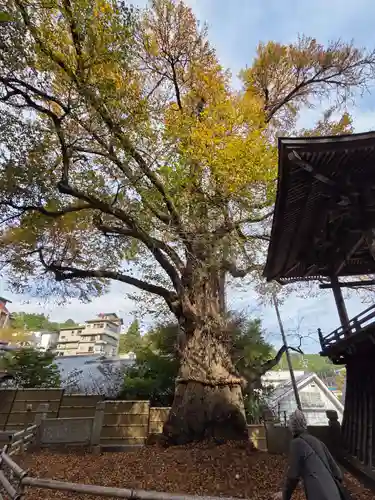 北向観音の御朱印