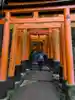 福まるはさんのプロフィール画像