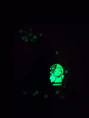 高台寺（高台寿聖禅寺・高臺寺）(京都府)