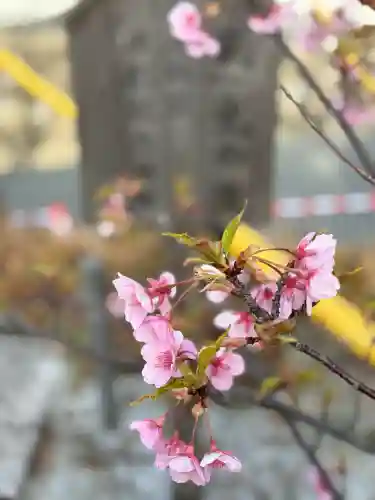 宮地嶽神社の{uncategorized: "未分類", other: "その他", undefined: "問題あり", building: "その他建物", grave: "お墓", sacred_gate: "鳥居", guardian: "狛犬", statue: "像", buddha: "仏像", history: "歴史", nature: "自然", garden: "庭園", animal: "動物", pagoda: "塔", temizu: "手水舎", mountain_gate: "山門・神門", sanctuary: "本殿・本堂", subordinate: "末社・摂社", art: "芸術", scenery: "景色", jizo: "地蔵", ema: "絵馬", goshuin: "御朱印", omikuji: "おみくじ", items: "授与品その他", amulet: "お守り", goshuincho: "御朱印帳", eats: "食事", festival: "お祭り", votive_dance: "神楽", shichigosan: "七五三参", wedding: "結婚式", experience: "体験その他", initially: "初詣", around: "周辺", anti_infection: "感染症対策"}