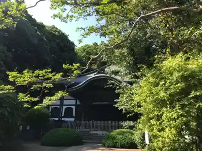 武蔵国分寺の本殿・本堂