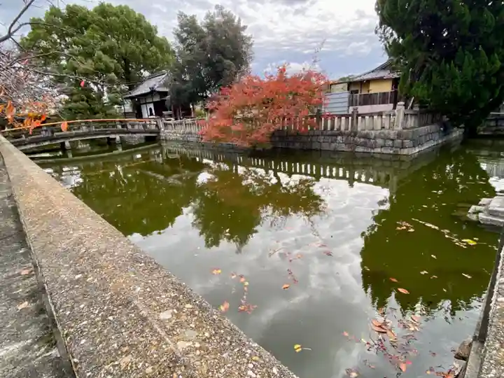 東寺(教王護国寺)(京都府)