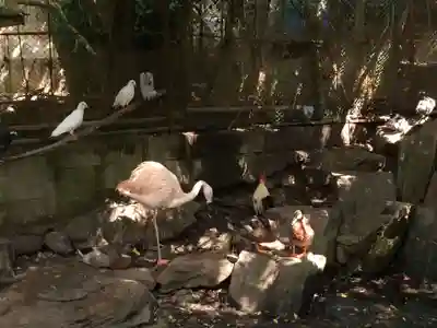 柳川総鎮守 日吉神社(福岡県)