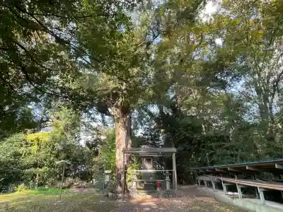 八幡神社（南濃町駒野）(岐阜県)