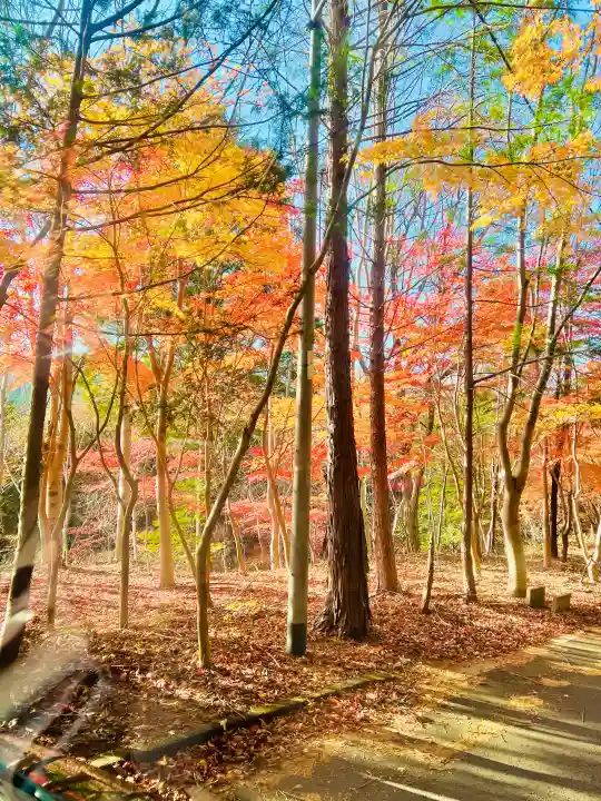 日輪寺の{uncategorized: "未分類", other: "その他", undefined: "問題あり", building: "その他建物", grave: "お墓", sacred_gate: "鳥居", guardian: "狛犬", statue: "像", buddha: "仏像", history: "歴史", nature: "自然", garden: "庭園", animal: "動物", pagoda: "塔", temizu: "手水舎", mountain_gate: "山門・神門", sanctuary: "本殿・本堂", subordinate: "末社・摂社", art: "芸術", scenery: "景色", jizo: "地蔵", ema: "絵馬", goshuin: "御朱印", omikuji: "おみくじ", items: "授与品その他", amulet: "お守り", goshuincho: "御朱印帳", eats: "食事", festival: "お祭り", votive_dance: "神楽", shichigosan: "七五三参", wedding: "結婚式", experience: "体験その他", initially: "初詣", around: "周辺", anti_infection: "感染症対策"}