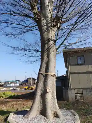 雀宮神社(栃木県)