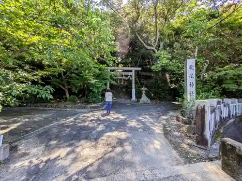 龍尾神社の鳥居