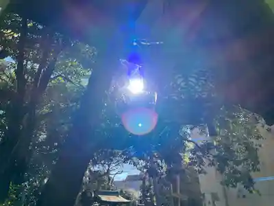 大井神社(静岡県)