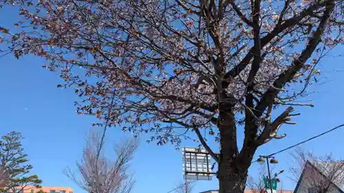 鳳隆寺の自然