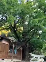 六御前神社(長崎県)