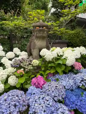 白山神社(東京都)