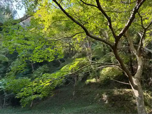 勝持寺（花の寺）(京都府)