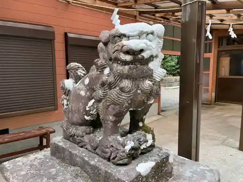 郡山八幡神社の狛犬