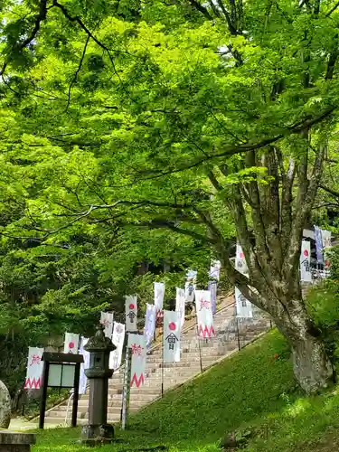 土津神社｜こどもと出世の神さまの景色