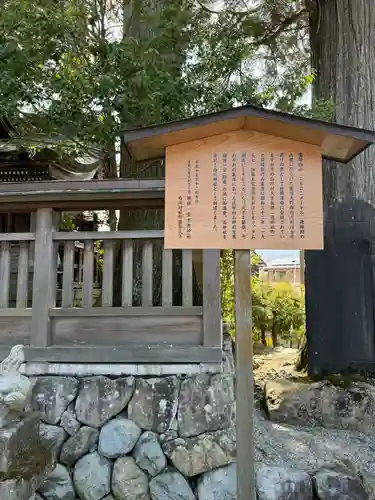 飛驒一宮水無神社(岐阜県)