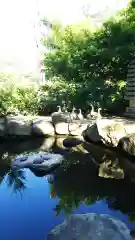 楽法寺（雨引観音）の動物