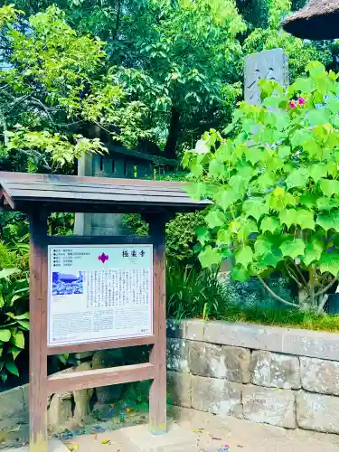 極楽寺（霊鷲山感應院極楽律寺）の歴史