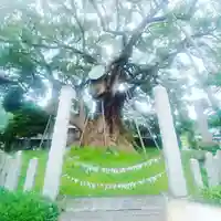 大楠神社のその他建物