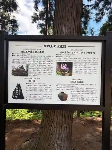 胡四王神社(岩手県)