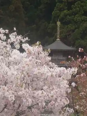 酒吞童子神社(新潟県)