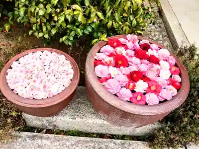 霊鑑寺門跡(京都府)