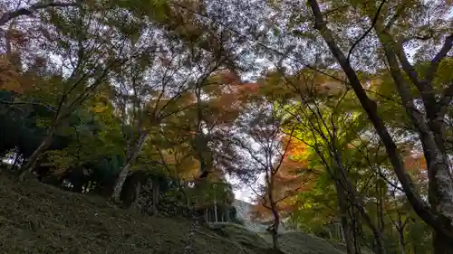 神護寺(京都府)