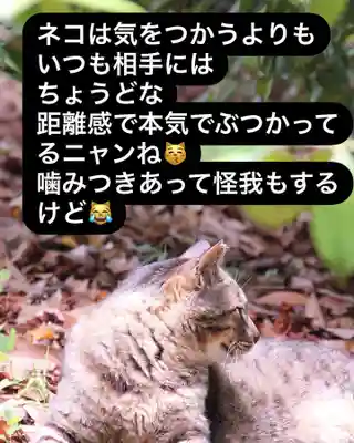 専念寺(大阪府)