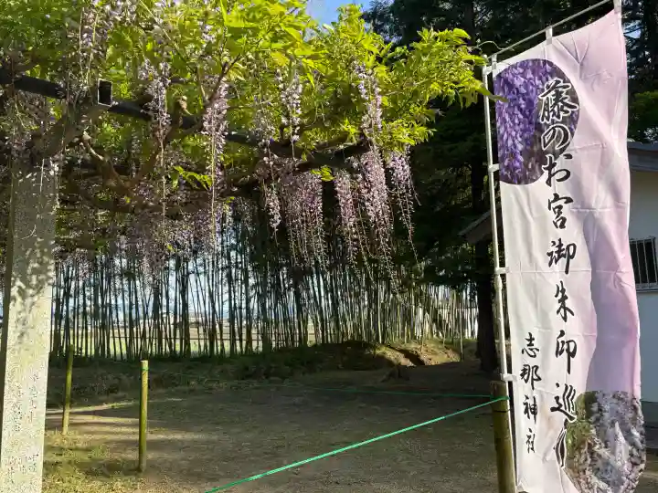 志那神社の{uncategorized: "未分類", other: "その他", undefined: "問題あり", building: "その他建物", grave: "お墓", sacred_gate: "鳥居", guardian: "狛犬", statue: "像", buddha: "仏像", history: "歴史", nature: "自然", garden: "庭園", animal: "動物", pagoda: "塔", temizu: "手水舎", mountain_gate: "山門・神門", sanctuary: "本殿・本堂", subordinate: "末社・摂社", art: "芸術", scenery: "景色", jizo: "地蔵", ema: "絵馬", goshuin: "御朱印", omikuji: "おみくじ", items: "授与品その他", amulet: "お守り", goshuincho: "御朱印帳", eats: "食事", festival: "お祭り", votive_dance: "神楽", shichigosan: "七五三参", wedding: "結婚式", experience: "体験その他", initially: "初詣", around: "周辺", anti_infection: "感染症対策"}