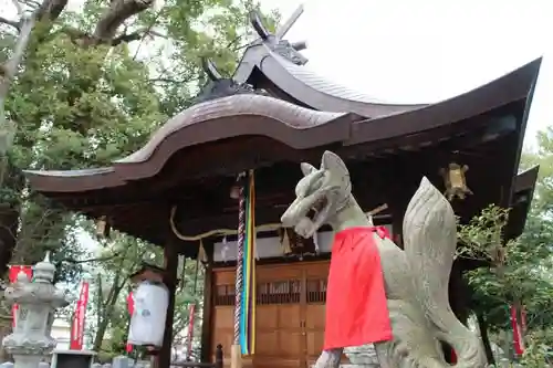 信太森神社（葛葉稲荷神社）の狛犬