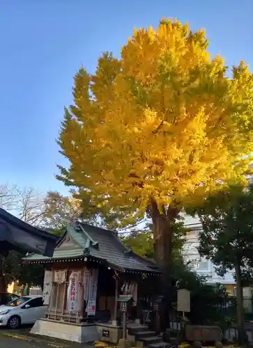 神明神社(神奈川県)