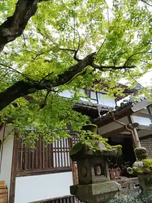 鹿苑寺(岐阜県)
