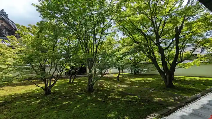 妙覺寺(妙覚寺)(京都府)