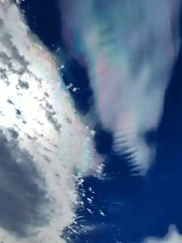 大慈院（弥富観音）の自然