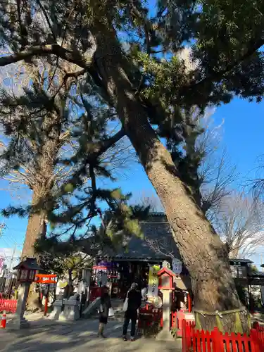 鴻神社のその他建物