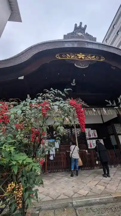 京都大神宮(京都府)