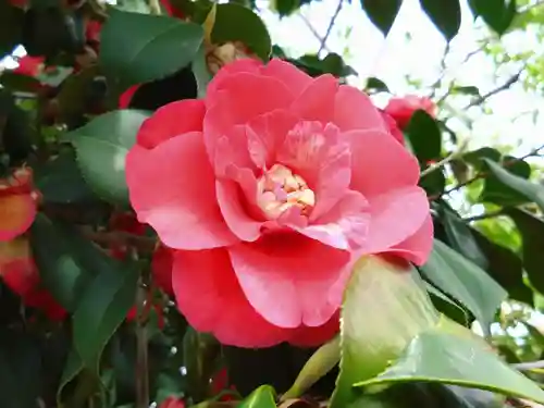 椿宮神明社(愛知県)