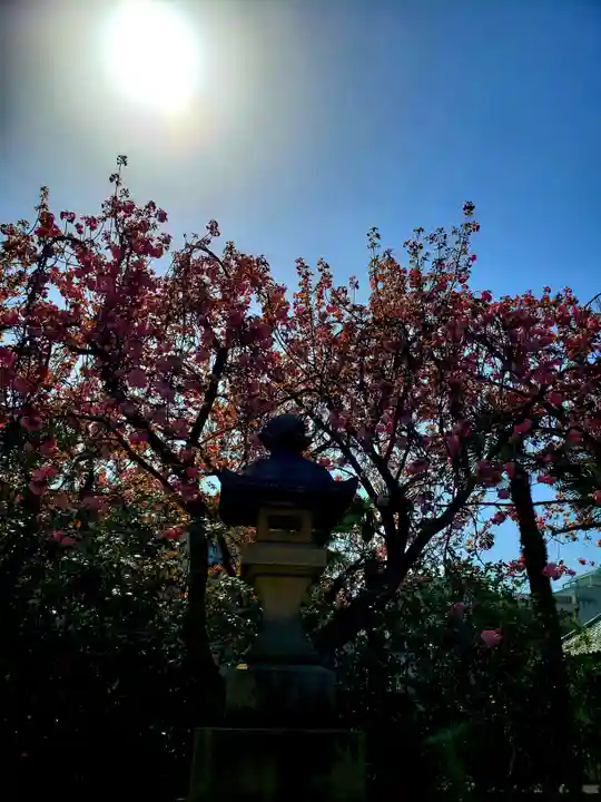 荘厳寺(東京都)